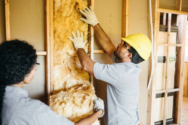 Best Attic Insulation Installation  in Olivet, MI