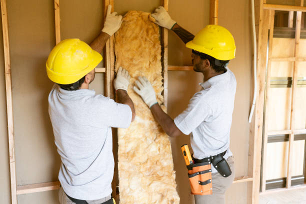Best Spray Foam Insulation  in Olivet, MI
